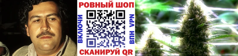 Где найти наркотики Шенкурск Кокаин  A-PVP  Мефедрон  НБОМе  Марихуана  ГАШИШ 