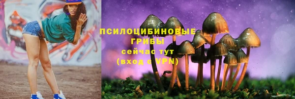 скорость Липки
