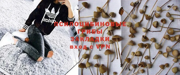 дмт Лихославль