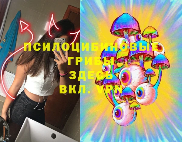 скорость Липки