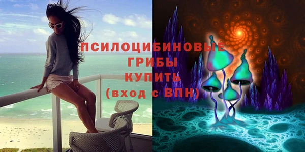дмт Лихославль