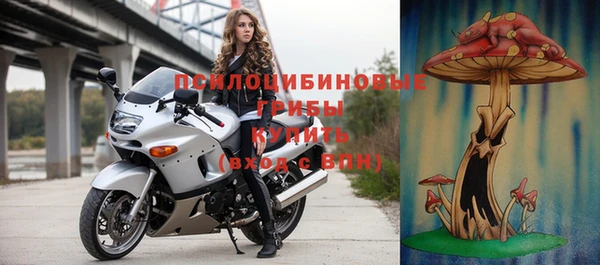 дмт Лиски