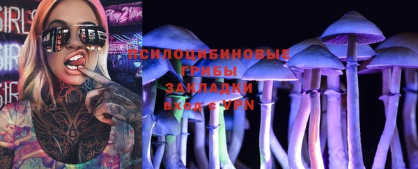 дмт Лиски